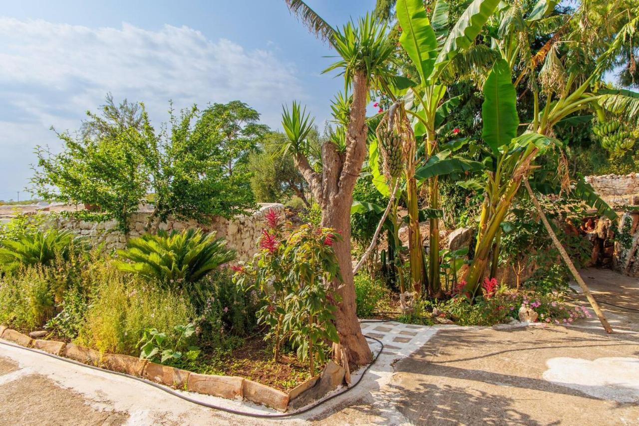 Apartment Iliana's House - Spacious Cave House In The Center Of Areopolis *